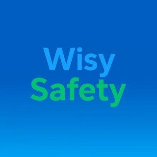 Logo Wisy Safety